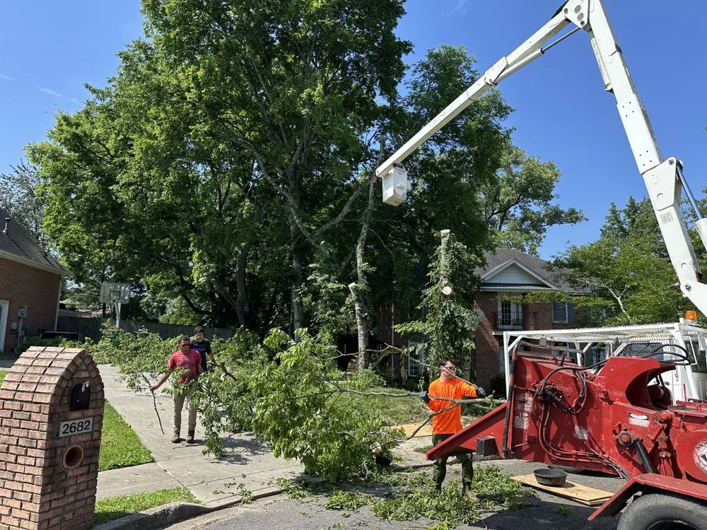 Top-rated landscape installation with custom design in Clarksville, TN by Forrester Tree Services