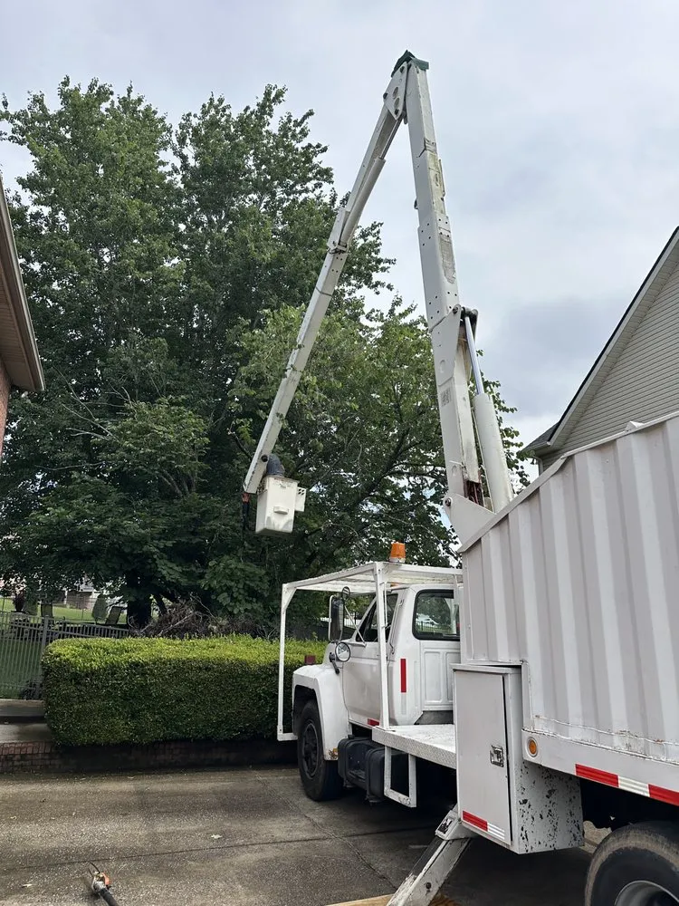 Top-rated landscape installation in Clarksville, TN - Forrester Tree Services