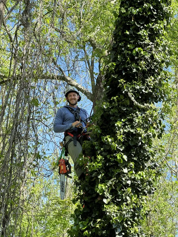 Top-rated outdoor landscaping for outdoor upgrades across Clarksville, TN - Forrester Tree Services