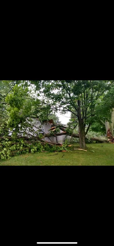 Custom lawn care service in La Porte, IN - Forrester’s Quality Tree Experts