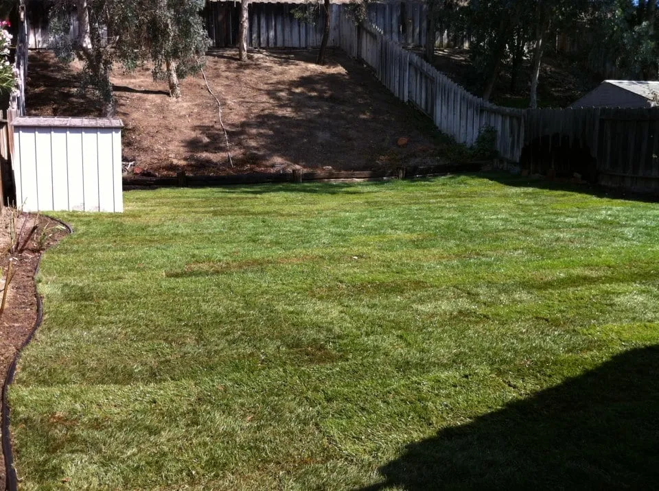 Trusted residential landscaping for residential properties in Santa Clarita, CA by Forster's Landscape Maintenance