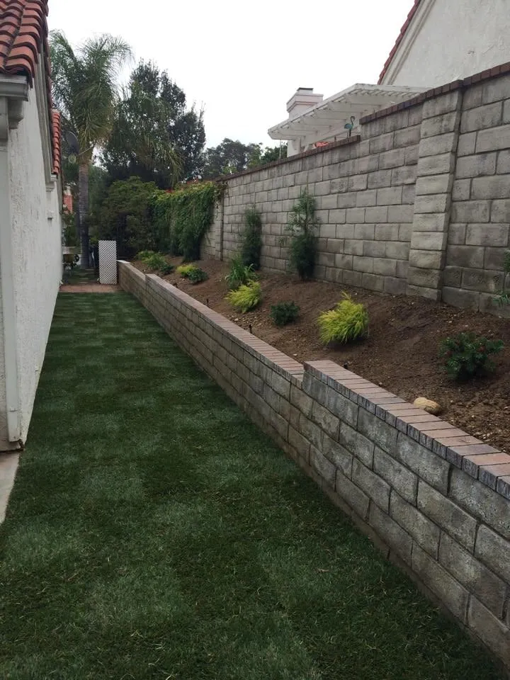Top-rated yard cleanup service in Santa Clarita, CA by Forster's Landscape Maintenance