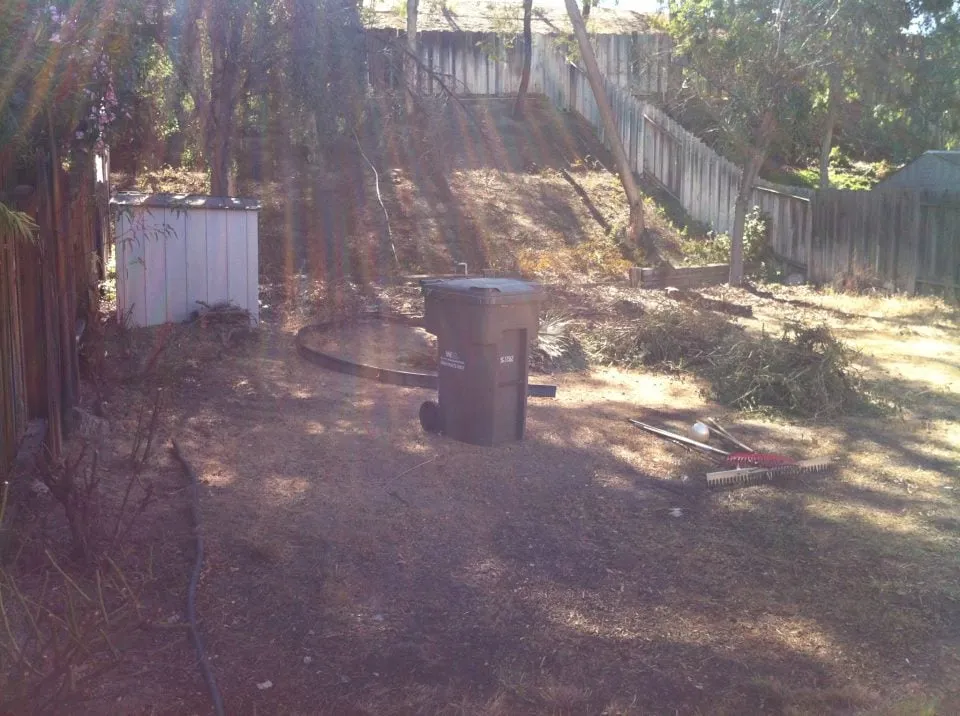 Professional lawn care service for homes in Santa Clarita, CA by Forster's Landscape Maintenance