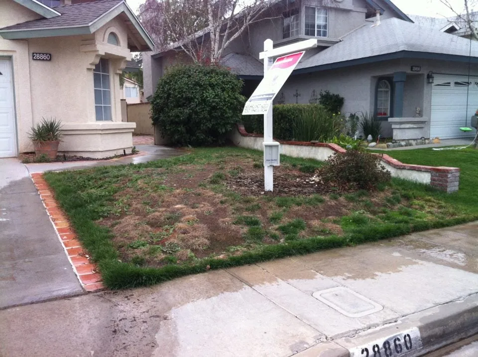 Professional yard cleanup service for homes across Santa Clarita, CA - Forster's Landscape Maintenance