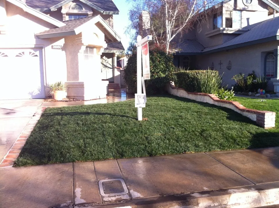 Trusted yard cleanup service for outdoor upgrades across Santa Clarita, CA - Forster's Landscape Maintenance