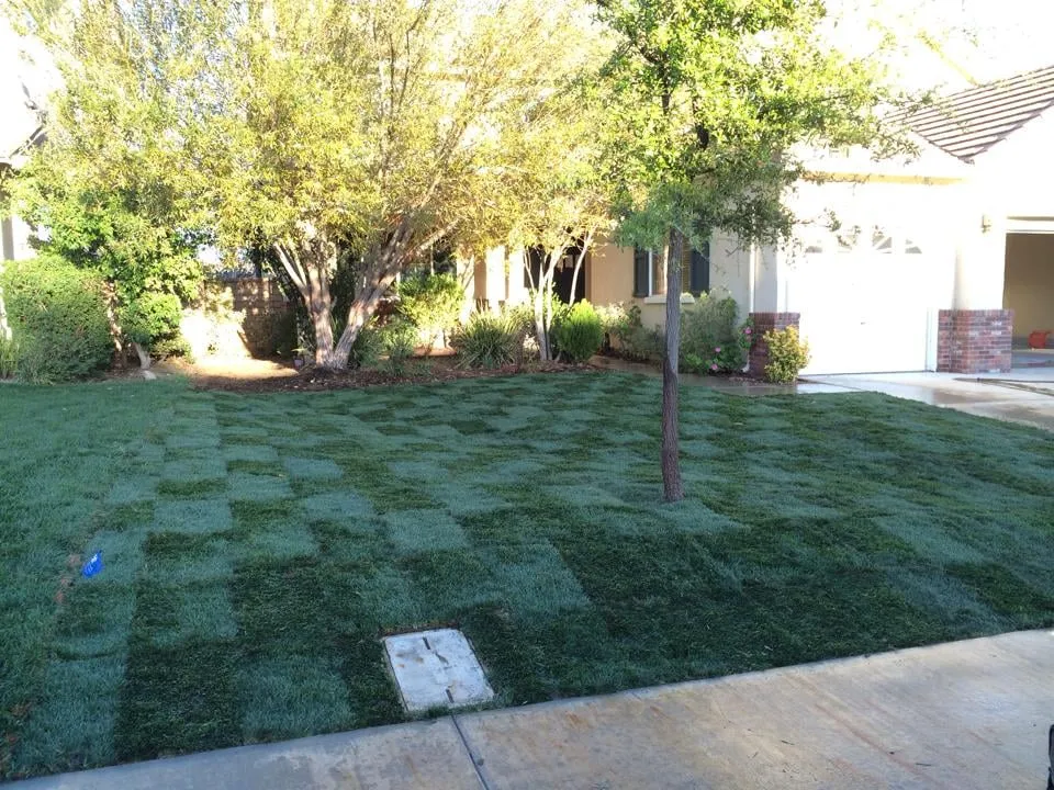 Affordable lawn care service in Santa Clarita, CA - Forster's Landscape Maintenance