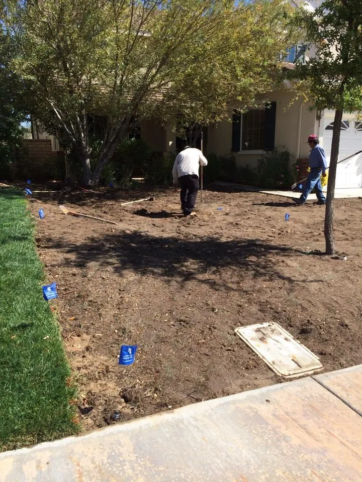 Custom yard maintenance in Santa Clarita, CA by Forster's Landscape Maintenance