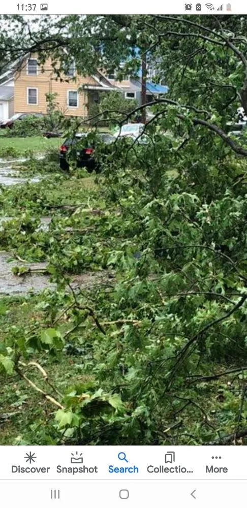 Reliable yard cleanup service in Pine Plains, NY - Forsure Landscaping and pool service