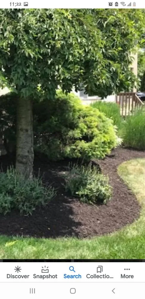Reliable lawn care service in Pine Plains, NY - Forsure Landscaping and pool service