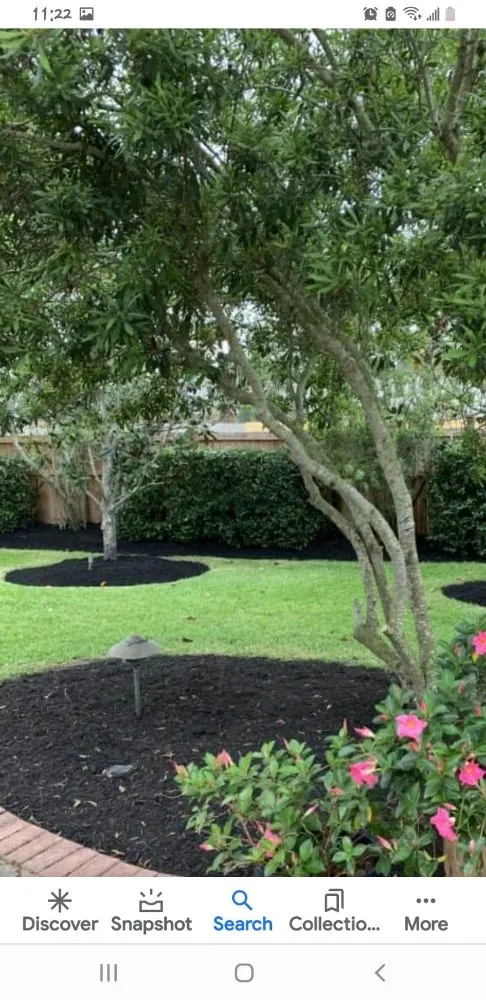 Local lawn mowing service in Pine Plains, NY - Forsure Landscaping and pool service