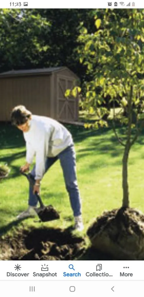 Custom garden landscaping with custom design across Pine Plains, NY - Forsure Landscaping and pool service