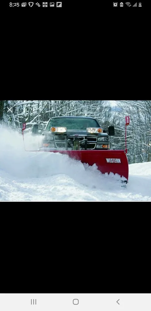 Professional yard maintenance experts serving Pine Plains, NY - Forsure Landscaping and pool service