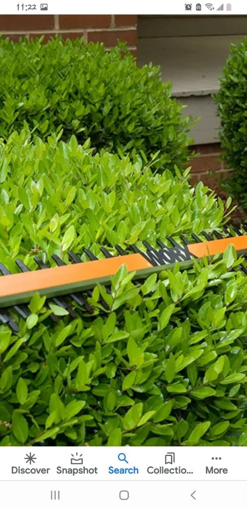 Affordable lawn care service experts serving Pine Plains, NY - Forsure Landscaping and pool service