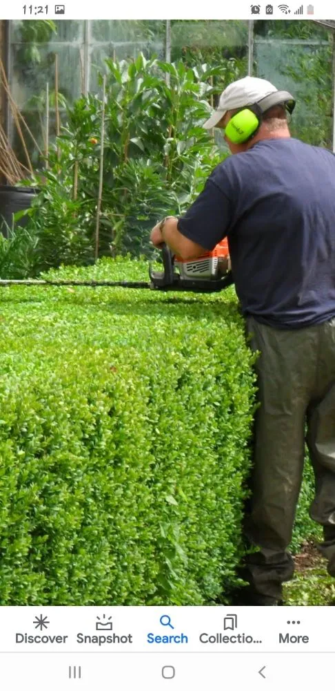 Top-rated lawn care service in Pine Plains, NY by Forsure Landscaping and pool service
