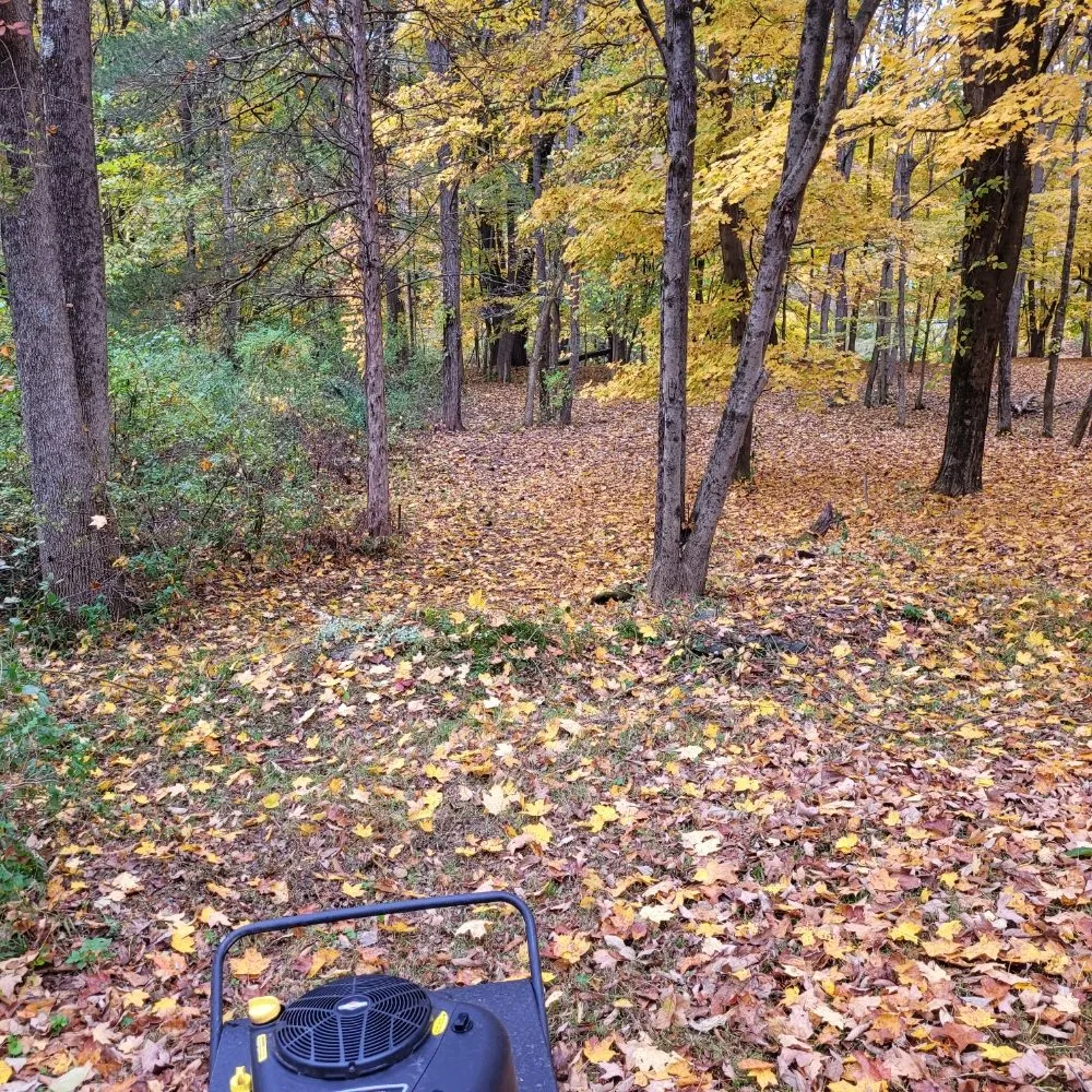 Top-rated landscape installation experts serving Pine Plains, NY - Forsure Landscaping and pool service