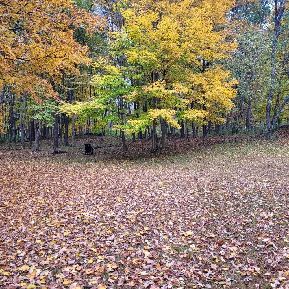 Custom landscaping services in Pine Plains, NY - Forsure Landscaping and pool service