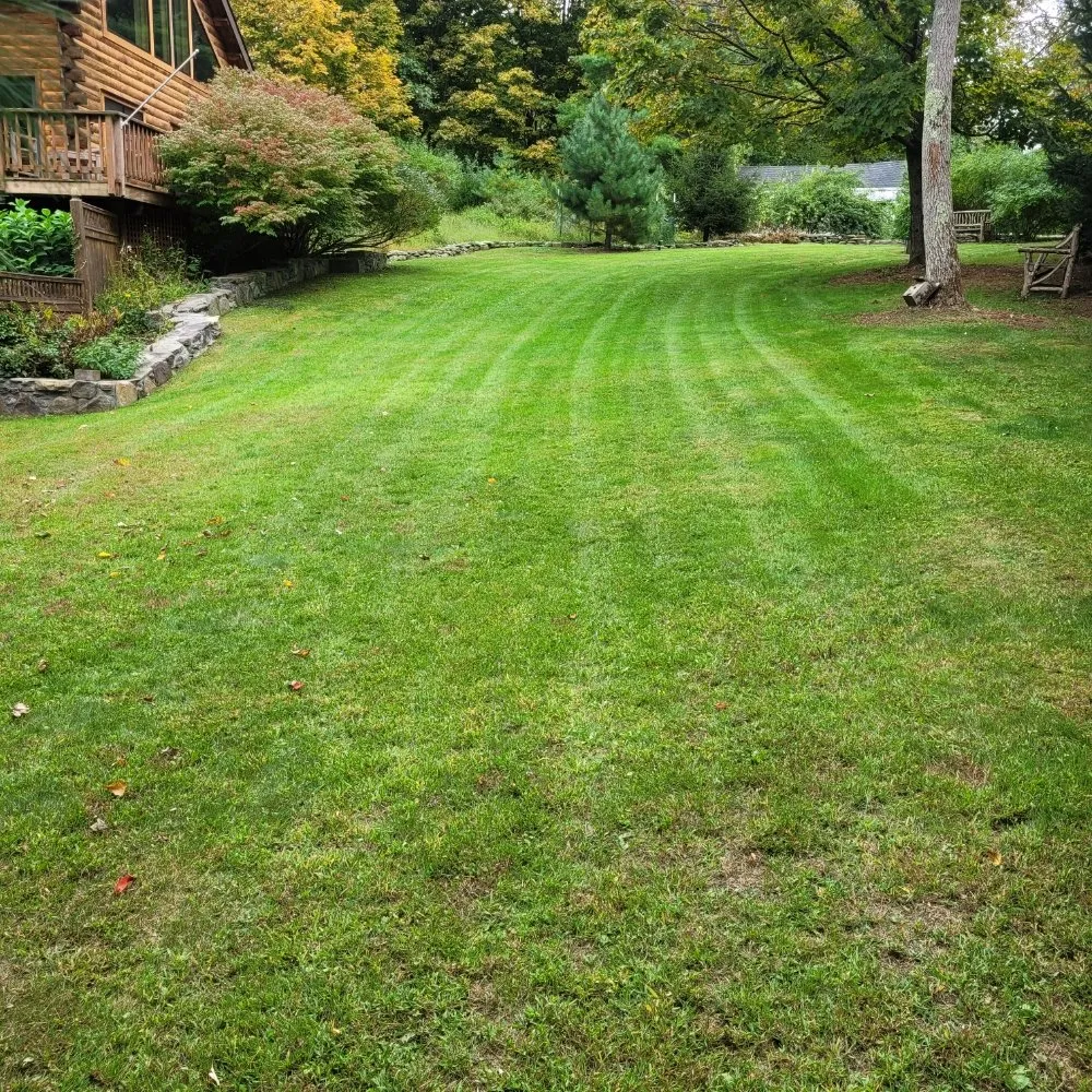 Professional landscaping services experts serving Pine Plains, NY - Forsure Landscaping and pool service