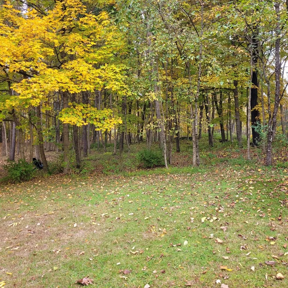 Top-rated landscape design experts serving Pine Plains, NY - Forsure Landscaping and pool service