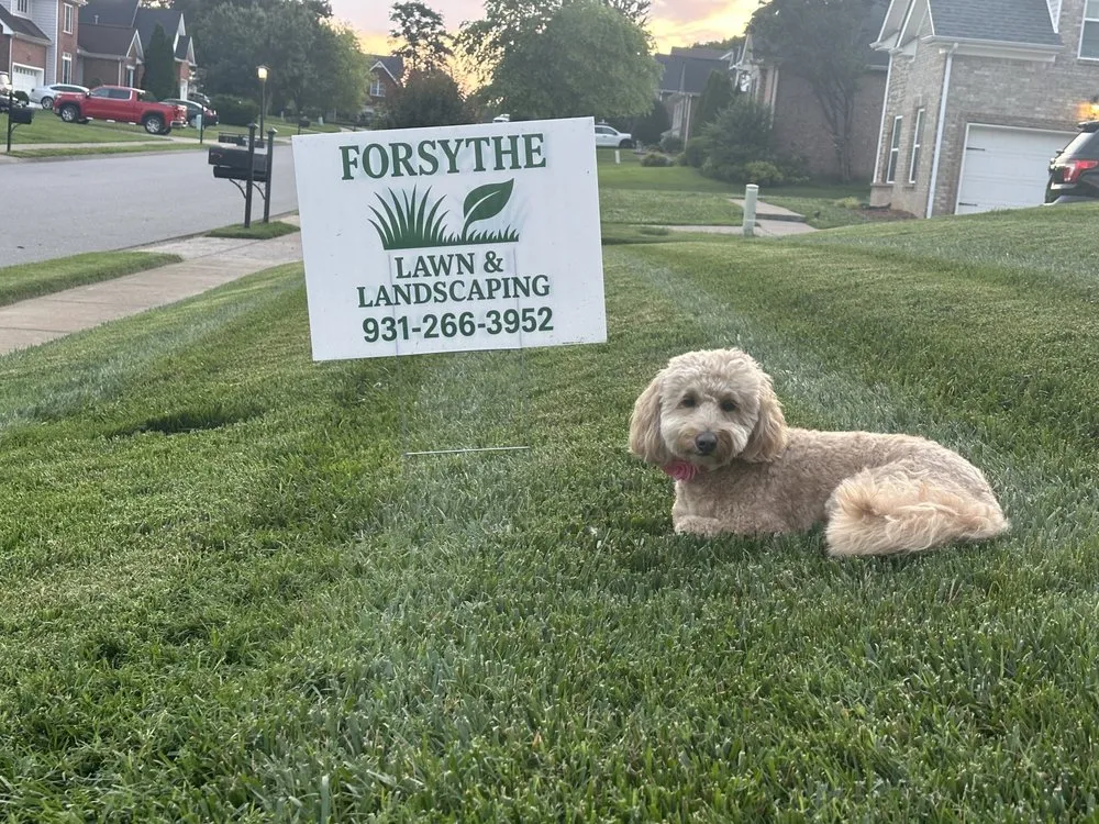 Professional yard maintenance in Clarksville, TN - Forsythe Lawn & Landscaping
