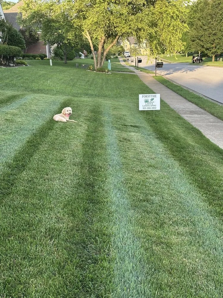 Custom yard maintenance in Clarksville, TN - Forsythe Lawn & Landscaping
