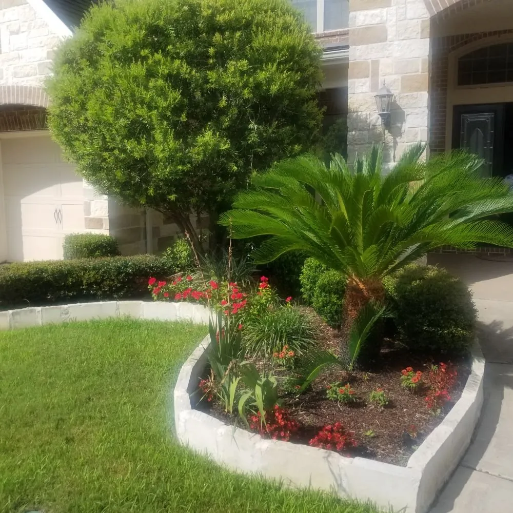 Local lawn care service in Sugar Land, TX by Fort Bend Backyard