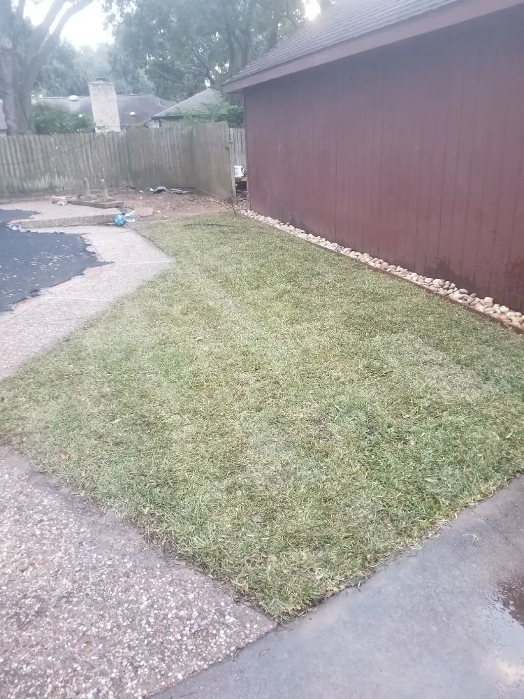 Professional yard cleanup service for year-round maintenance across Sugar Land, TX - Fort Bend Backyard