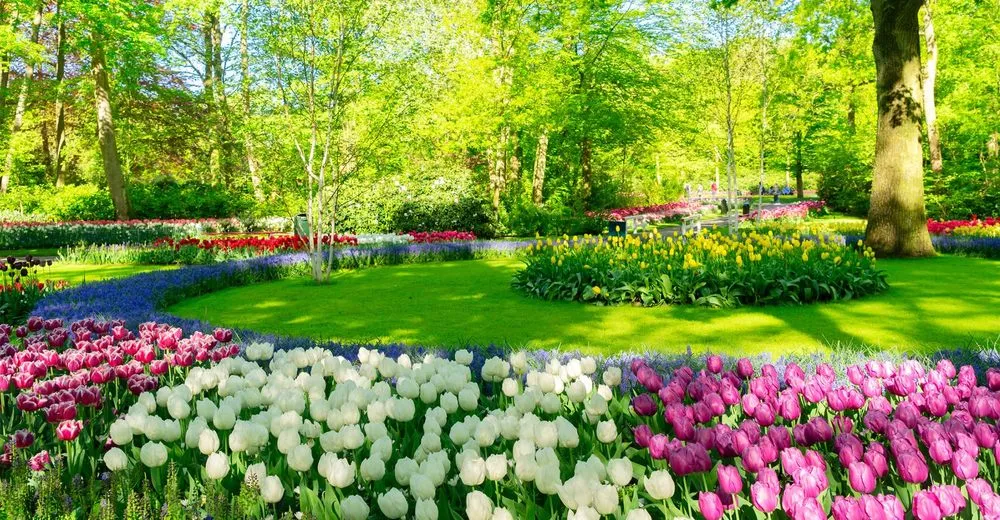 Expert lawn care service in Richmond, TX by Fort Bend Brothers