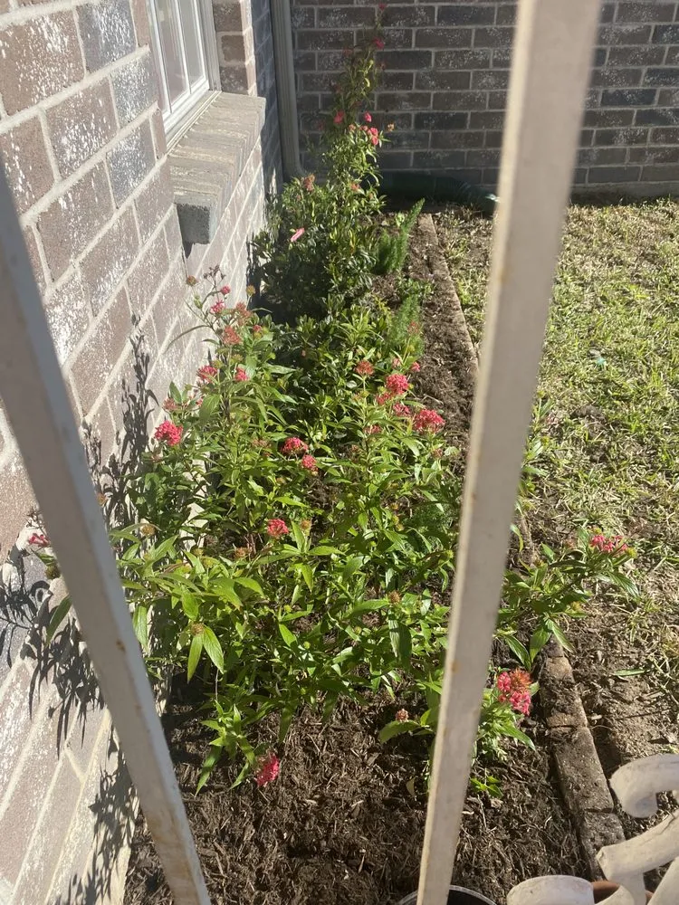 Expert garden landscaping for outdoor upgrades in Rosharon, TX by Fort Bend Construction and Grounds