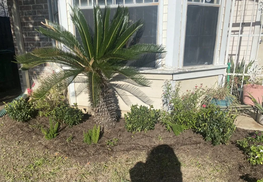 Trusted landscape design with custom design across Rosharon, TX - Fort Bend Construction and Grounds