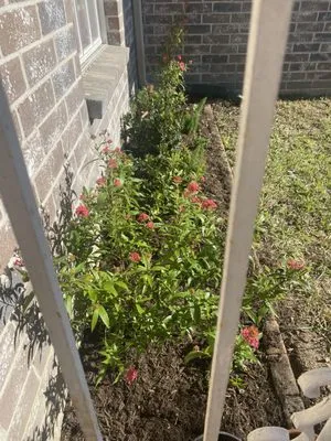 Fort Bend Construction and Grounds