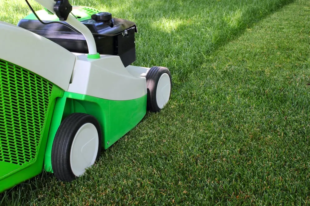 Custom outdoor landscaping for beautiful yards in Fort Collins, CO by Fort Collins Lawn & Garden