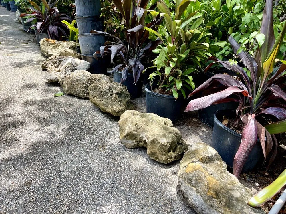 Custom lawn mowing service for outdoor upgrades in Fort Lauderdale, FL by Fort Lauderdale Landscaping