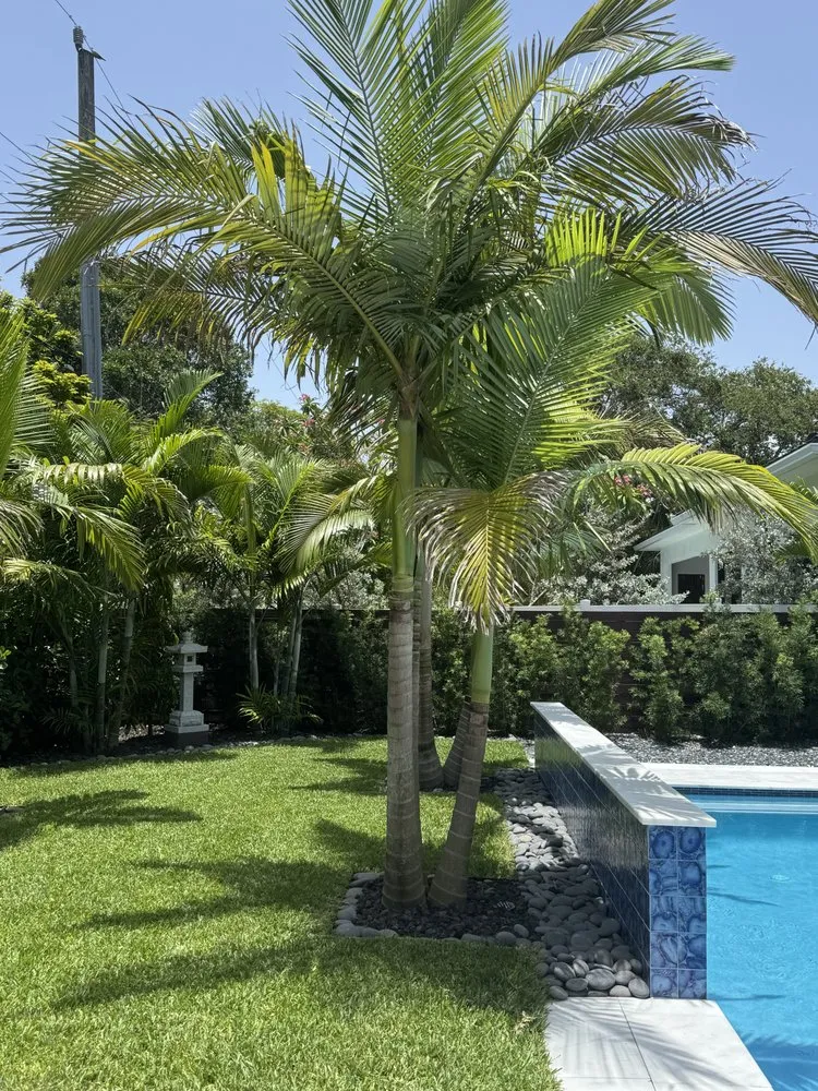 Expert residential landscaping experts serving Fort Lauderdale, FL - Fort Lauderdale Landscaping