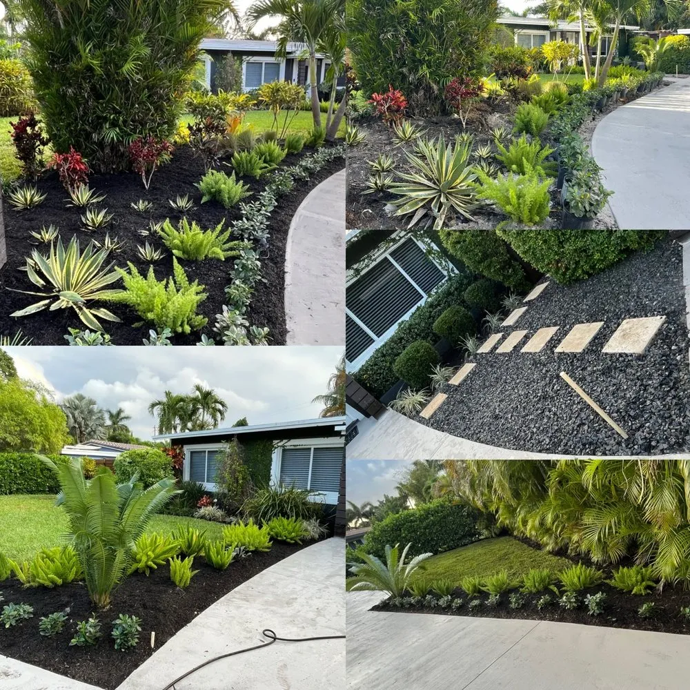 Expert landscape design for beautiful yards in Fort Lauderdale, FL by Fort Lauderdale Landscaping
