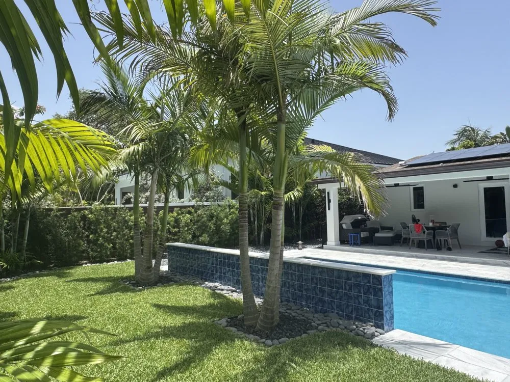 Expert landscape design for beautiful yards in Fort Lauderdale, FL by Fort Lauderdale Landscaping