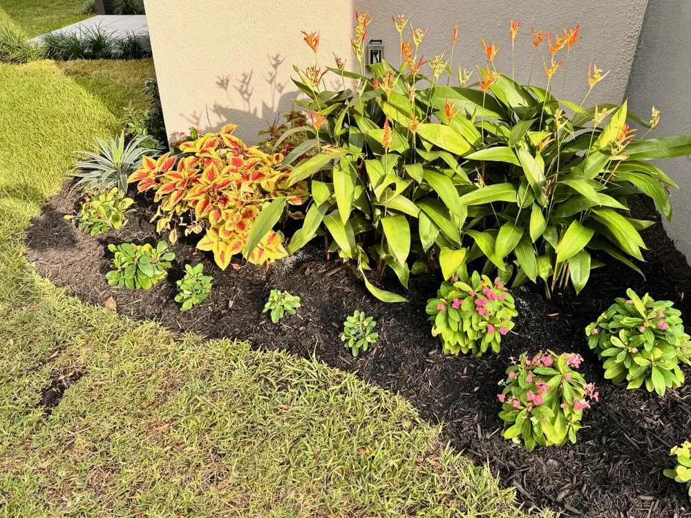 Professional yard maintenance in Fort Lauderdale, FL - Fort Lauderdale Landscaping