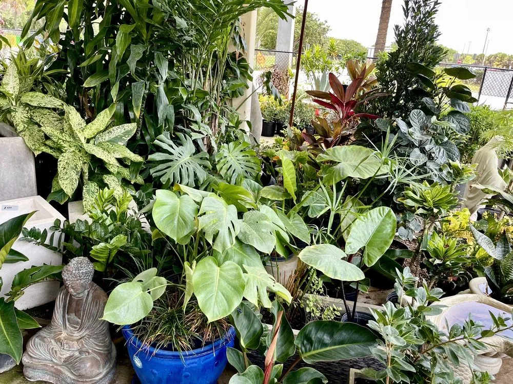 Local residential landscaping for homes across Fort Lauderdale, FL - Fort Lauderdale Landscaping