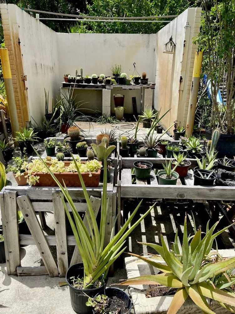 Local landscaping services for homes across Fort Lauderdale, FL - Fort Lauderdale Landscaping