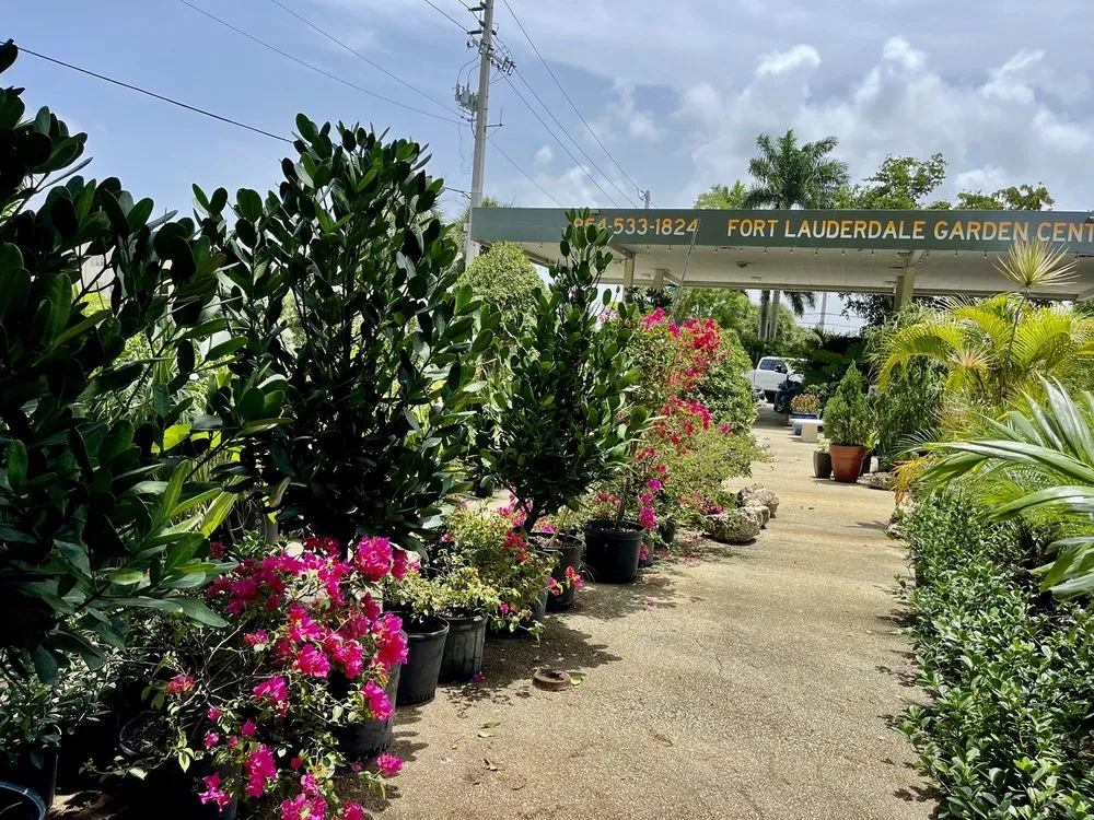 Reliable landscape design experts serving Fort Lauderdale, FL - Fort Lauderdale Landscaping