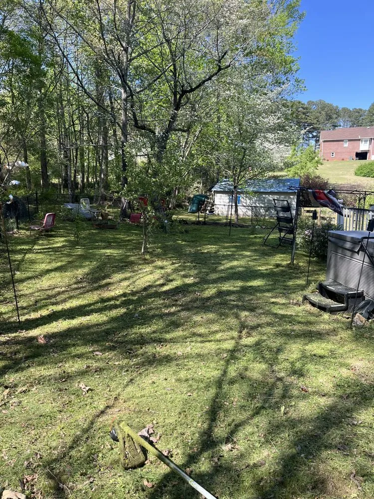 Top-rated lawn mowing service near you in Ellijay, GA by Fort Mountain Property Maintenance