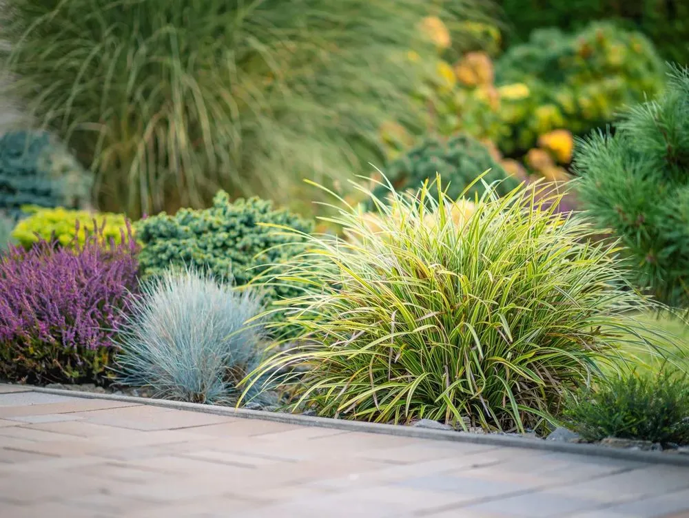 Local landscaping services with custom design in Benbrook, TX by Fort Scape