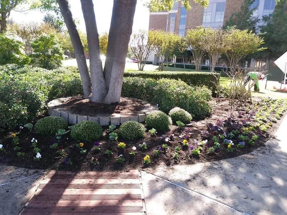 Expert landscape installation in Fort Worth, TX - Fort Worth Custom Landscaping