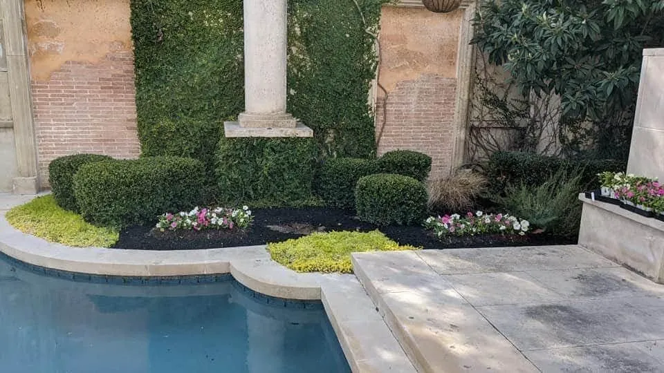 Top-rated lawn mowing service for year-round maintenance across Fort Worth, TX - Fort Worth Custom Landscaping