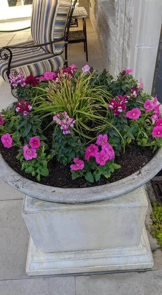 Professional yard maintenance for homes in Fort Worth, TX by Fort Worth Custom Landscaping