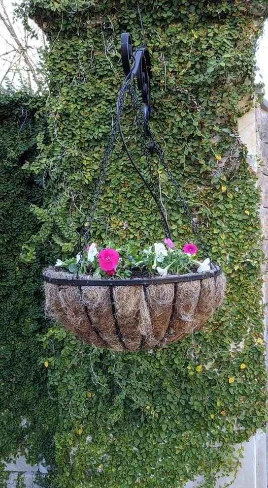 Reliable yard maintenance for outdoor upgrades across Fort Worth, TX - Fort Worth Custom Landscaping