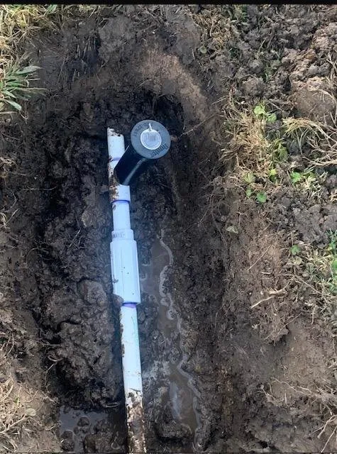 Top-rated residential landscaping in Fort Worth, TX - Fort Worth Landscape Management