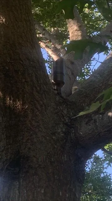 Custom lawn mowing service in Fort Worth, TX by Fort Worth Landscape Management