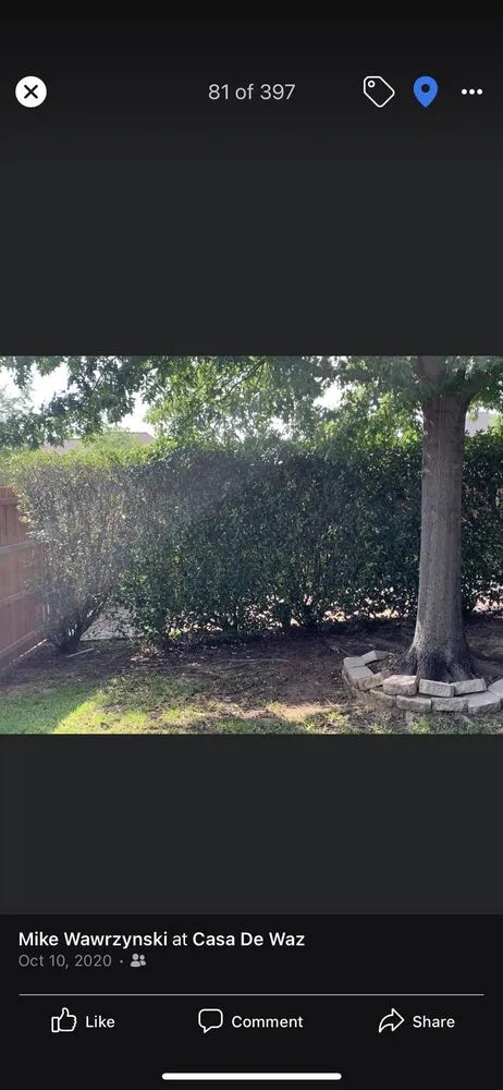 Affordable outdoor landscaping in Burleson, TX - Fort Worth's Yard Man