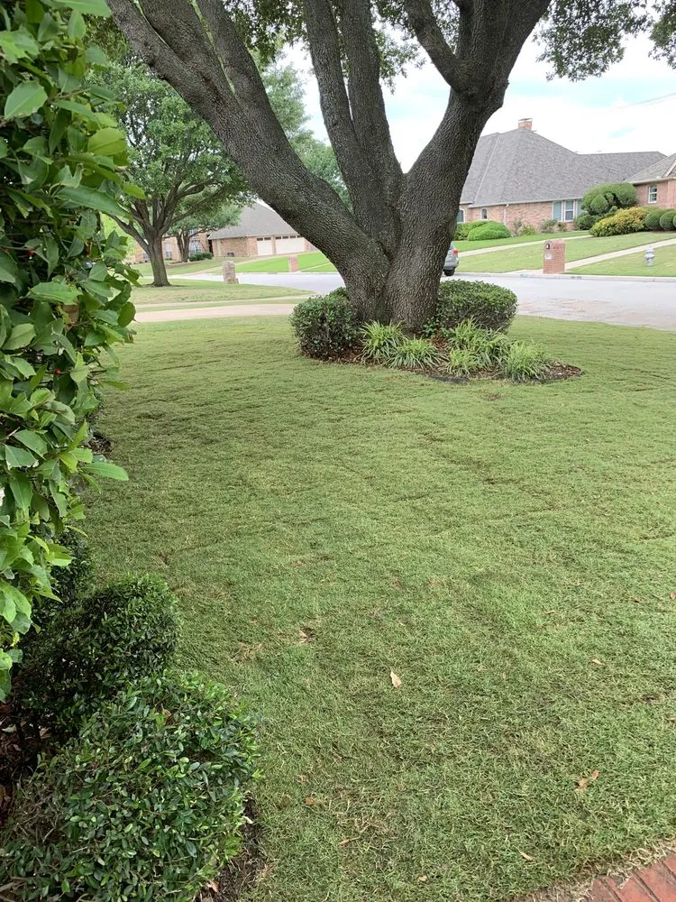 Reliable residential landscaping for outdoor upgrades across Burleson, TX - Fort Worth's Yard Man