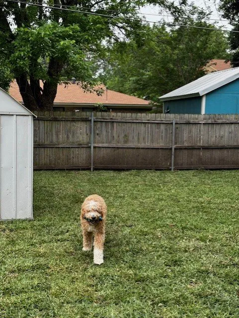 Reliable residential landscaping in Burleson, TX - Fort Worth's Yard Man